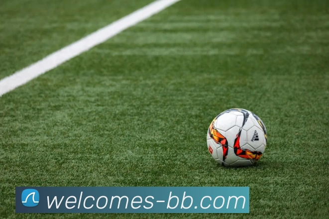 BB视讯官网全站App